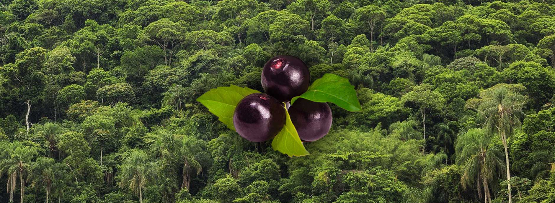 <div style="margin-left:14px">
<div style="font-style:italic;line-height:50%;text-shadow: 1px 1px black">Our</div>
<h2 style="font-size:60px;text-shadow: 1px 1px black"> Story</h2>
</div>