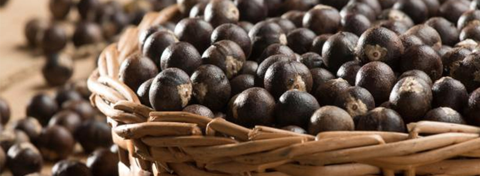 <div style="margin-left:14px">
<div style="font-style:italic;line-height:50%;text-shadow: 1px 1px black">Where to</div>
<h2 style="font-size:60px;text-shadow: 1px 1px black">Buy</h2>
</div>