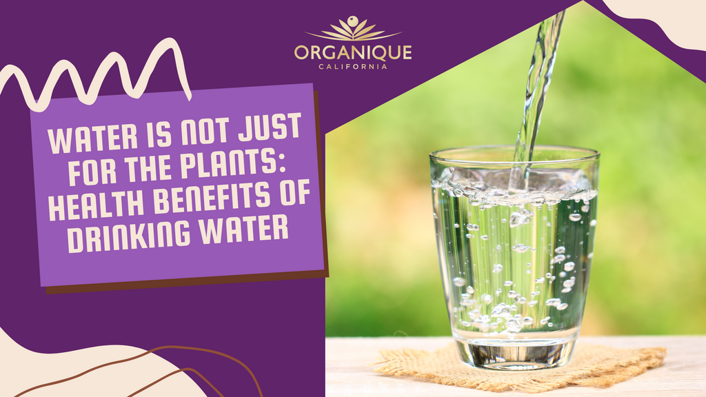 Water is Not Just for the Plants: Health Benefits of Drinking Water