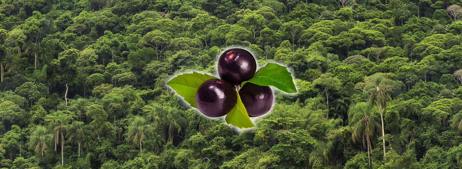 <div style="margin-left:14px">
<div style="font-style:italic;line-height:50%;text-shadow: 1px 1px black">Our</div>
<h2 style="font-size:60px;text-shadow: 1px 1px black"> Story</h2>
</div>